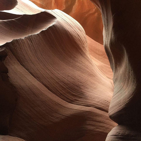 Coral Antelope Canyon I Gold Ornate Wood Framed Art Print with Double Matting by Wilson, Gerry