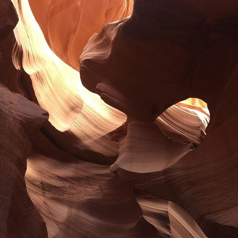 Coral Antelope Canyon II  Black Modern Wood Framed Art Print with Double Matting by Wilson, Gerry