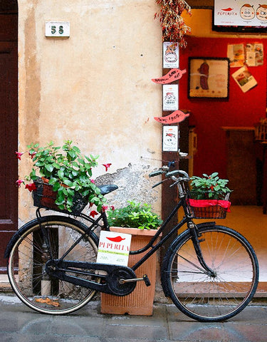 Bicyclette White Modern Wood Framed Art Print with Double Matting by Wilson, Gerry