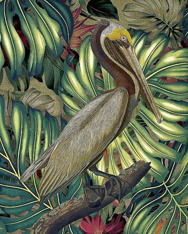 Jungled Pelican Black Ornate Wood Framed Art Print with Double Matting by Hunziker, Steve