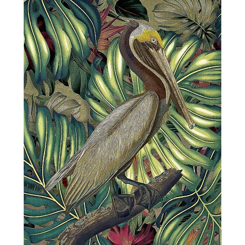 Jungled Pelican Black Modern Wood Framed Art Print with Double Matting by Hunziker, Steve