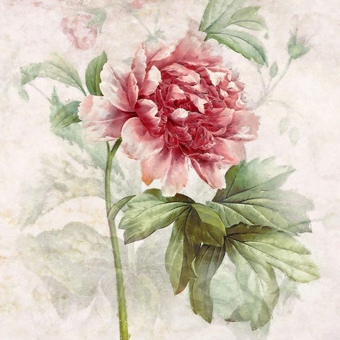 Ruby Floral I  Black Modern Wood Framed Art Print by Hunziker, Steve