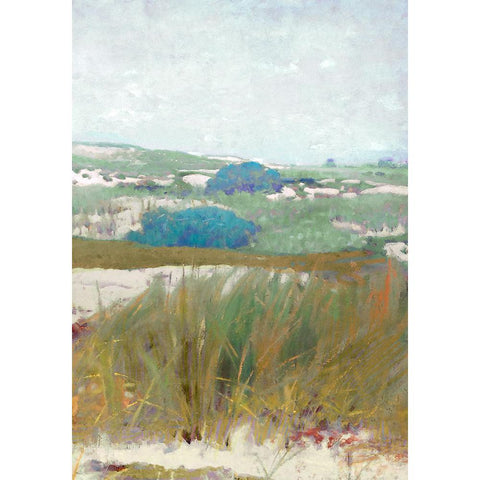 Seaside Breeze III Black Modern Wood Framed Art Print with Double Matting by Hunziker, Steve