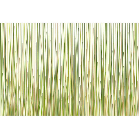 Grass Curtain Gold Ornate Wood Framed Art Print with Double Matting by Terra Jungle