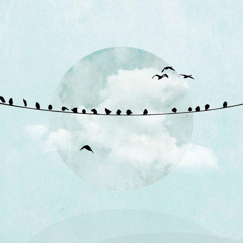 Birds on a Line I White Modern Wood Framed Art Print with Double Matting by Halli, Hal