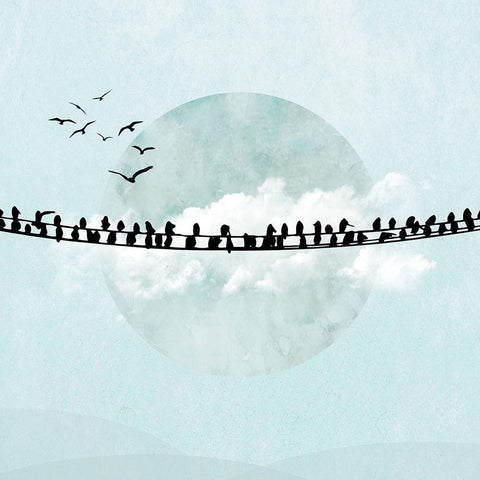 Birds on a Line II  Black Modern Wood Framed Art Print with Double Matting by Halli, Hal