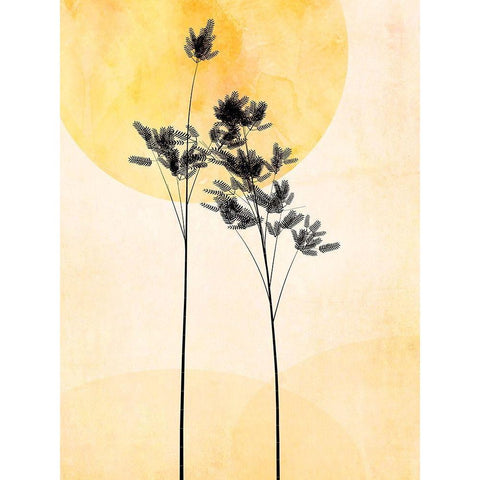 Feel the Love Black Modern Wood Framed Art Print with Double Matting by Halli, Hal
