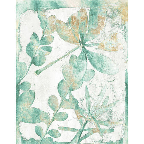 Garden Variety Green Version  Black Modern Wood Framed Art Print with Double Matting by St Hilaire, Elizabeth