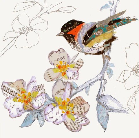 Black Cap Chickadee White Modern Wood Framed Art Print with Double Matting by St Hilaire, Elizabeth