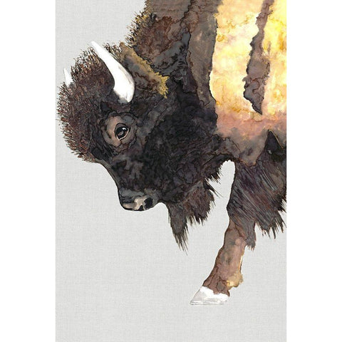 Buffalo Bill  White Modern Wood Framed Art Print by Hatfield, Jodi