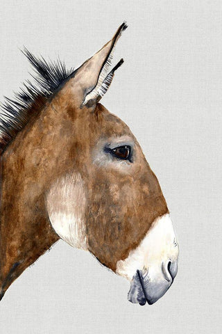 Brown DonkeyÂ  Black Ornate Wood Framed Art Print with Double Matting by Hatfield, Jodi