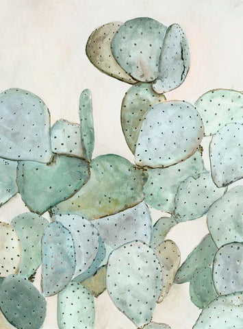 Cotton Candy Cactus II Black Ornate Wood Framed Art Print with Double Matting by Hatfiled, Jodi