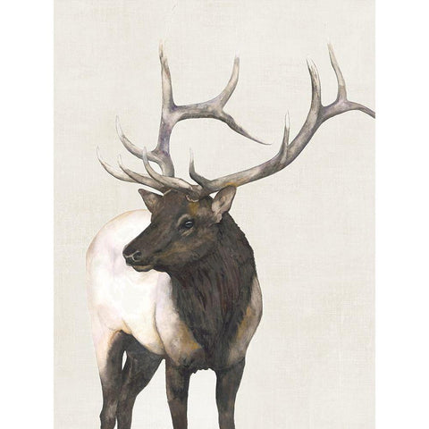 Ranger  White Modern Wood Framed Art Print by Hatfiled, Jodi