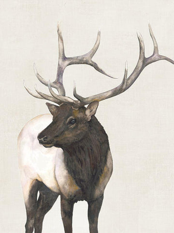 Ranger  Black Ornate Wood Framed Art Print with Double Matting by Hatfiled, Jodi