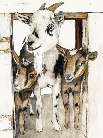 Three Amigos  Black Ornate Wood Framed Art Print with Double Matting by Hatfiled, Jodi