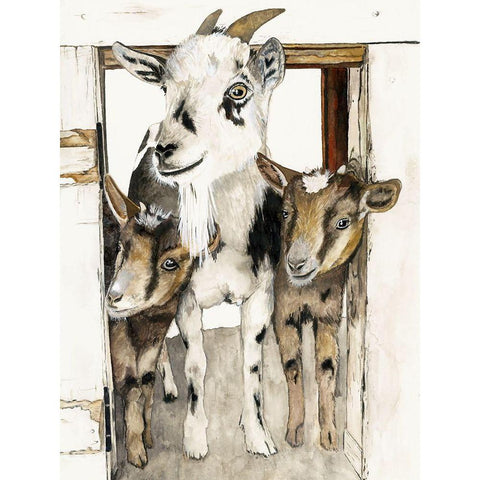 Three Amigos  White Modern Wood Framed Art Print by Hatfiled, Jodi