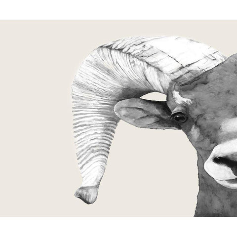 Rambo  White Modern Wood Framed Art Print by Hatfiled, Jodi