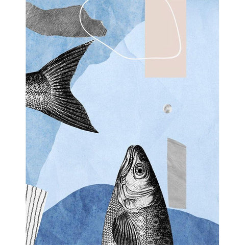 Top and Tail I  Black Modern Wood Framed Art Print with Double Matting by Smith, Karen