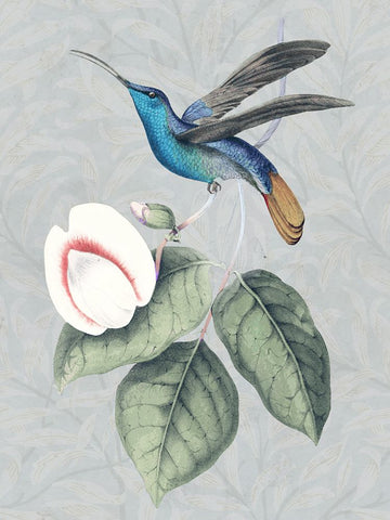 Bird and Bloom II Black Ornate Wood Framed Art Print with Double Matting by Smith, Karen