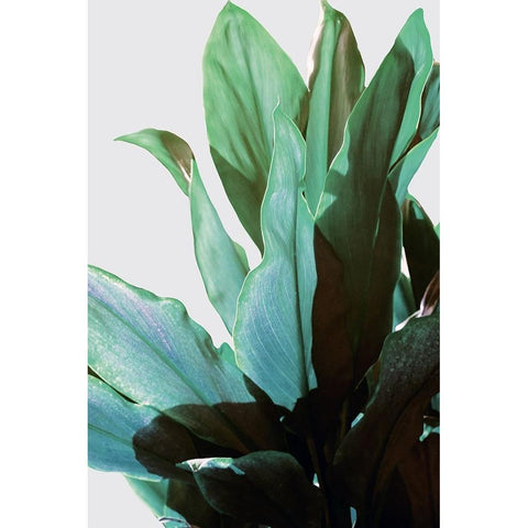 Green Leaves I Black Modern Wood Framed Art Print by Bainbridge, Hope