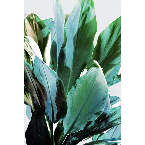 Green Leaves II  Black Modern Wood Framed Art Print by Bainbridge, Hope