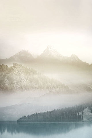 Vanilla Landscape III Black Ornate Wood Framed Art Print with Double Matting by Bainbridge, Hope