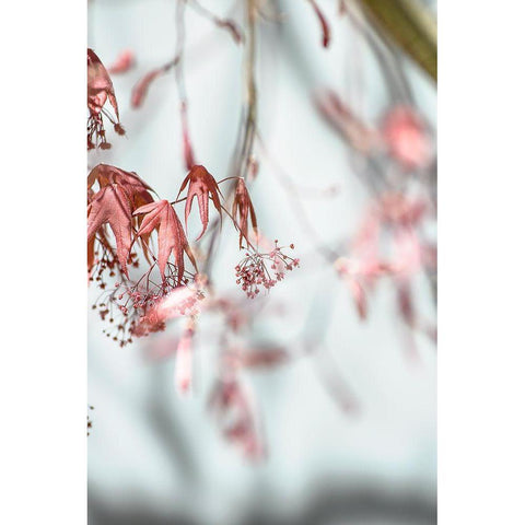 Leaves Palladium Black Modern Wood Framed Art Print by Smith, M.