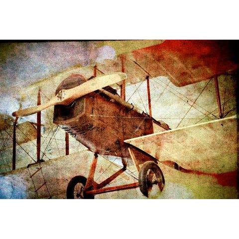 Aero II Gold Ornate Wood Framed Art Print with Double Matting by Weddle, Ryan Hartson