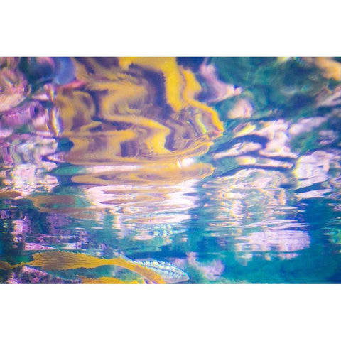 Aquatica II  Black Modern Wood Framed Art Print by Hartson-Weddle, Ryan