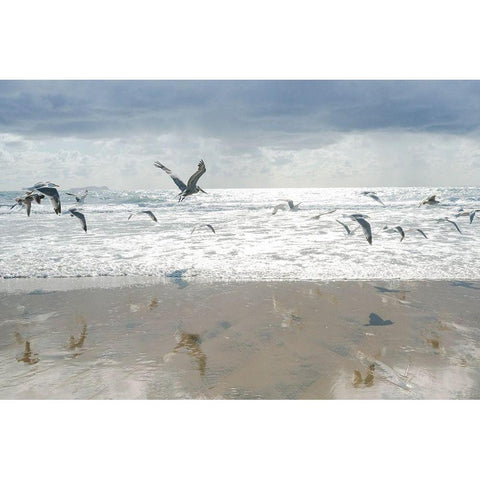 Letting Go I Black Modern Wood Framed Art Print by Hartson-Weddle, Ryan