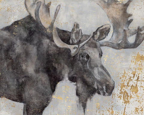 Alces Trail I  Black Ornate Wood Framed Art Print with Double Matting by Hawksley, Beverley