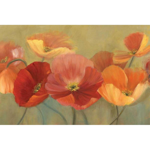 Summer Poppies White Modern Wood Framed Art Print by Iafrate, Sandra