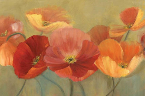 Summer Poppies White Modern Wood Framed Art Print with Double Matting by Iafrate, Sandra