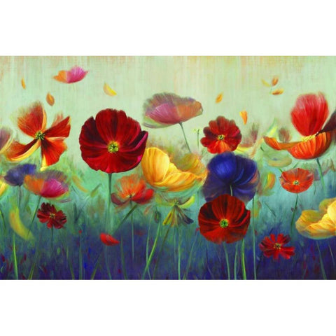 In My Garden Black Modern Wood Framed Art Print with Double Matting by Iafrate, Sandra