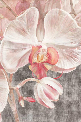 Efflorescence III White Modern Wood Framed Art Print with Double Matting by Biernot, Ilona