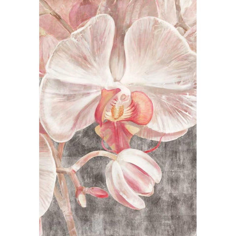 Efflorescence III Black Modern Wood Framed Art Print by Biernot, Ilona
