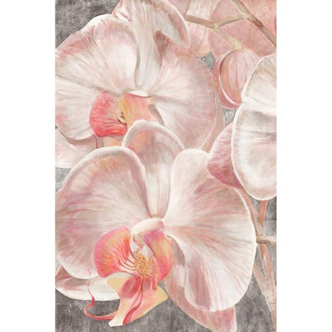 Efflorescence IV Gold Ornate Wood Framed Art Print with Double Matting by Biernot, Ilona