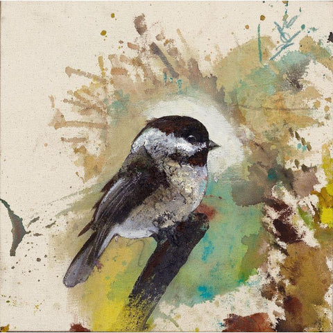 Green Boreal Bird  Black Modern Wood Framed Art Print by St Amant, Daniel