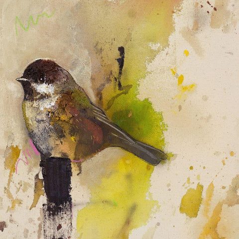 Yellow Goldfinch  White Modern Wood Framed Art Print by St Amant, Daniel