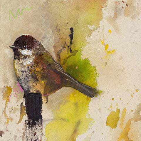 Yellow Goldfinch  Black Ornate Wood Framed Art Print with Double Matting by St Amant, Daniel