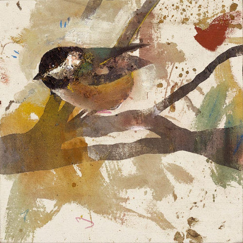 Garden Bird  White Modern Wood Framed Art Print with Double Matting by St Amant, Daniel