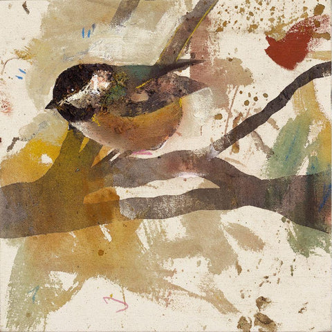 Garden Bird  Black Modern Wood Framed Art Print by St Amant, Daniel