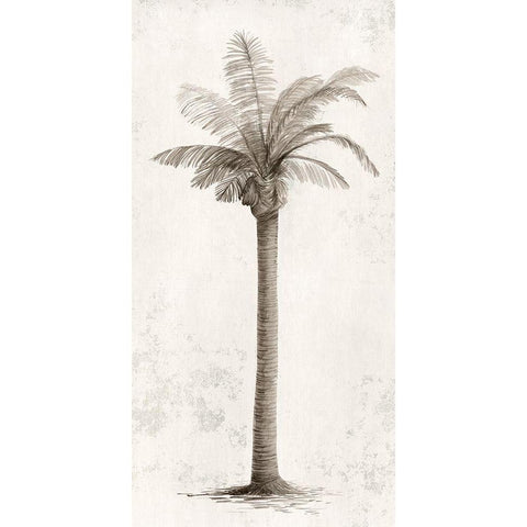 Vintage Palm Tree I  Black Modern Wood Framed Art Print by Ian C