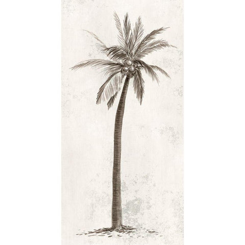 Vintage Palm Tree II Black Modern Wood Framed Art Print with Double Matting by Ian C