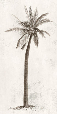 Vintage Palm Tree II Black Ornate Wood Framed Art Print with Double Matting by Ian C