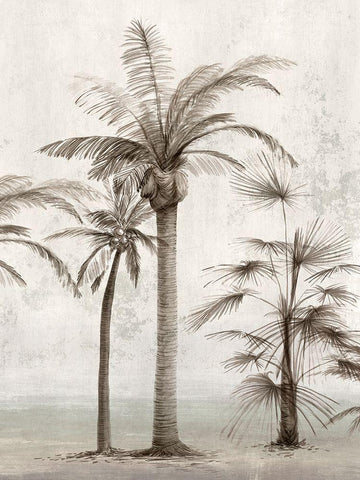 Vintage Palm Trees I  White Modern Wood Framed Art Print with Double Matting by Ian C