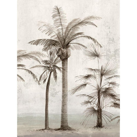 Vintage Palm Trees I  Black Modern Wood Framed Art Print with Double Matting by Ian C