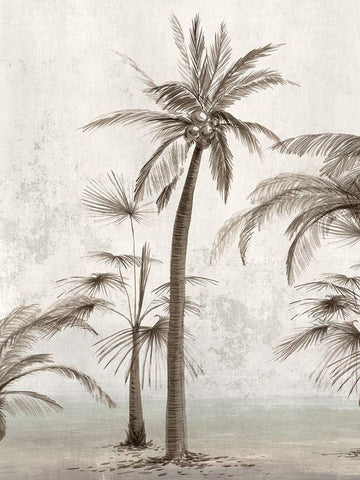 Vintage Palm Trees II White Modern Wood Framed Art Print with Double Matting by Ian C