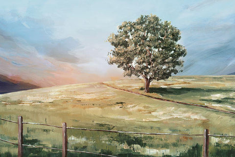 Sunset Tree  White Modern Wood Framed Art Print with Double Matting by Ian C