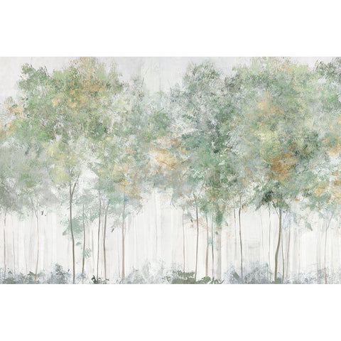 Green Wonderland  Black Modern Wood Framed Art Print with Double Matting by Ian C